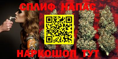ПСИЛОЦИБИНОВЫЕ ГРИБЫ Шахты