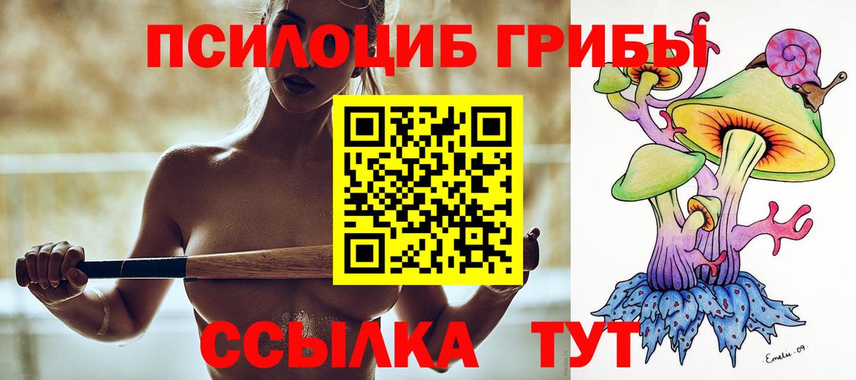 Псилоцибиновые грибы ЛСД  Вход с VPN  Будённовск 